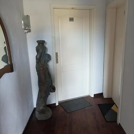 Studio Papillon Haus باد سالزفلن