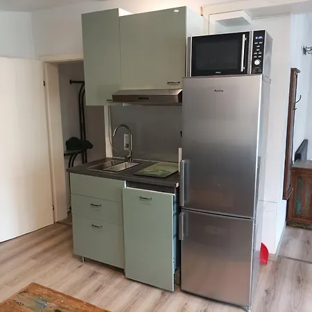 Studio Papillon Haus شقة باد سالزفلن